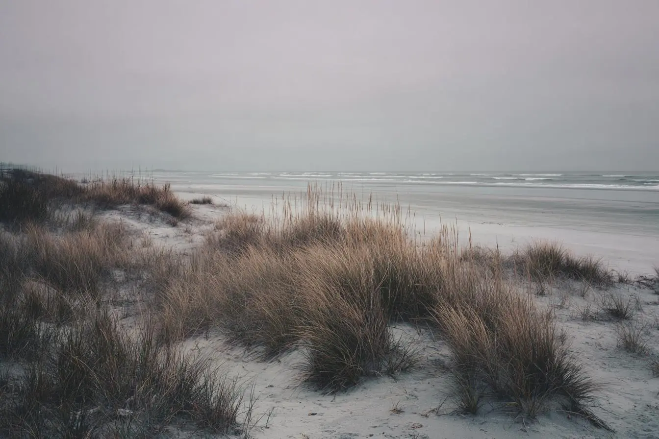 Salt Marsh on a foggy day